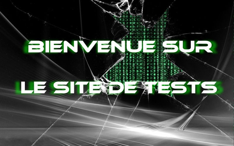annonceurs